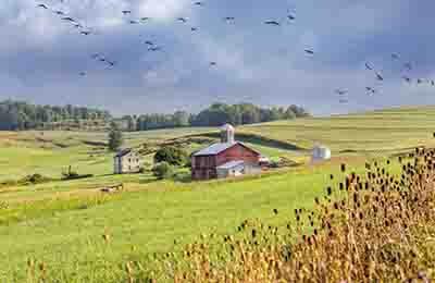 鄉(xiāng)村數(shù)字經(jīng)濟(jì)發(fā)展的區(qū)域差異分析