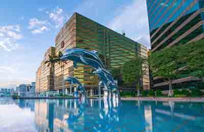 商業(yè)英語(yǔ)論文