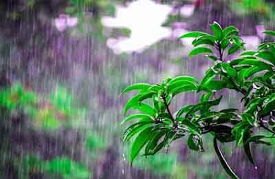 氣象科普宣傳工作計劃