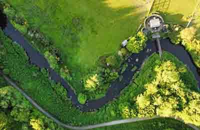 城市生態(tài)綠化