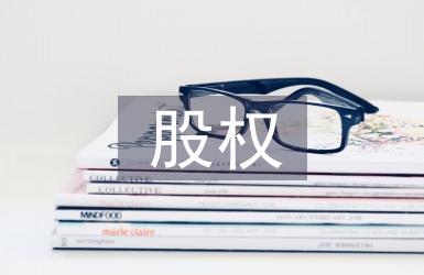 股權(quán)分配論文