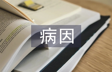 因病申請(qǐng)書(shū)