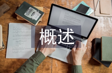 知識(shí)管理概述