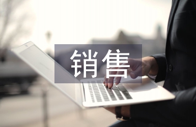 銷售總監(jiān)年終總結