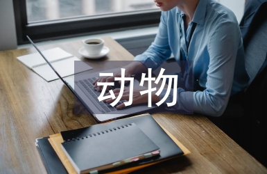 動(dòng)物醫(yī)學(xué)專(zhuān)業(yè)就業(yè)方向