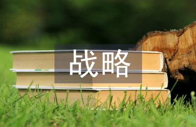 人力資本下人力資源開發(fā)戰(zhàn)略