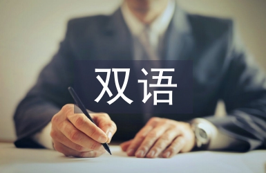 雙語教師實(shí)習(xí)工作總結(jié)