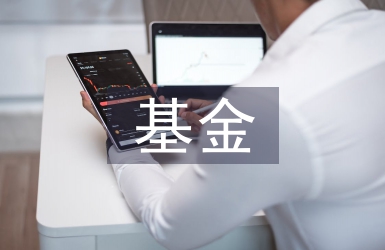 基金風(fēng)險(xiǎn)論文