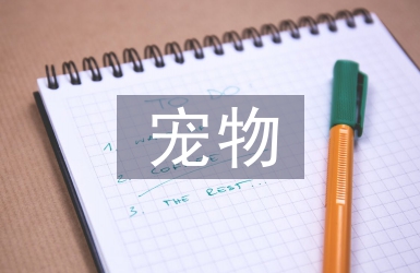 寵物美容師助理總結(jié)