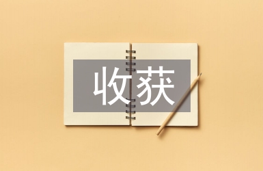 勞動(dòng)教育課的收獲和體會(huì)