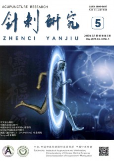 針刺研究期刊