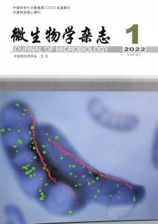 微生物學(xué)期刊