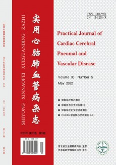 實(shí)用心腦肺血管病期刊