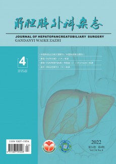 肝膽胰外科期刊