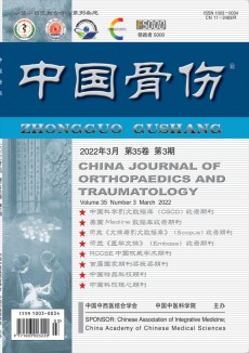 中國(guó)骨傷期刊