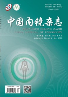 中國內(nèi)鏡期刊
