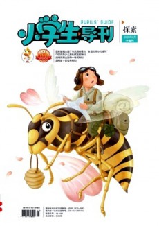 小學(xué)生導(dǎo)刊·中年級